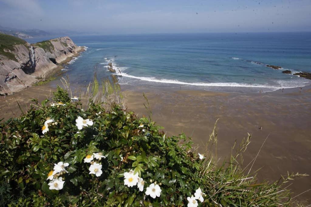2 Habit, Sala, Terraza, Jardin, Parking Gratis Daire Zumaia Dış mekan fotoğraf